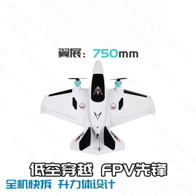 Dual Motor FPV Fixed Wing RC A - đánh giá và giá Rc Airplane Drone