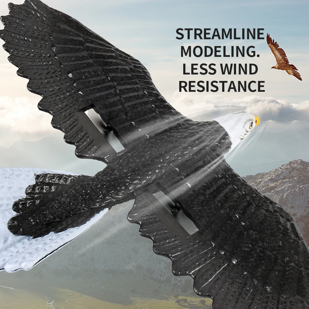 XC59 Remote Control Eagle Airc - đánh giá và giá Drone Rc Simulator